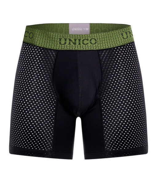 BOXER LONG LEG TRIBUNAL